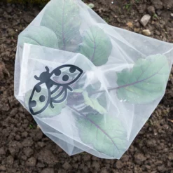 Copertura Protettiva Anti-Insetti - Verdura, 6 Pz. 7 Copertura Protettiva Anti-Insetti - Verdura, 6 Pz. -Offerta Economica Verdi Giard andermatt biogarten copertura protettiva anti insetti verdura 6 pz 1614065 it