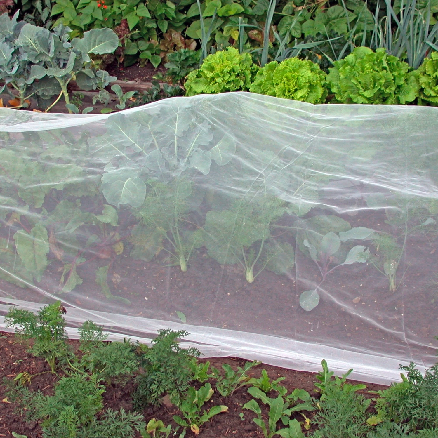 Rete Di Protezione Per Colture - Filbio, 1 Pz. 3 Rete Di Protezione Per Colture - Filbio, 1 Pz. - immagine 3