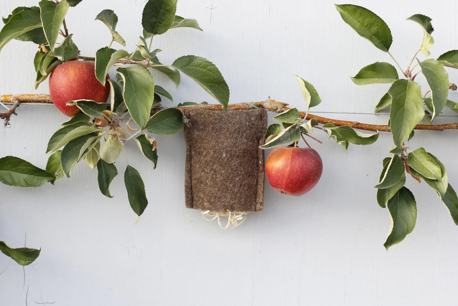 Sacchetti Per Forbicine 1 Sacchetti Per Forbicine