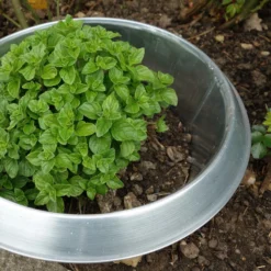 Stop Lumache, FE Grande - 1 Pezzo, Galvanizzato