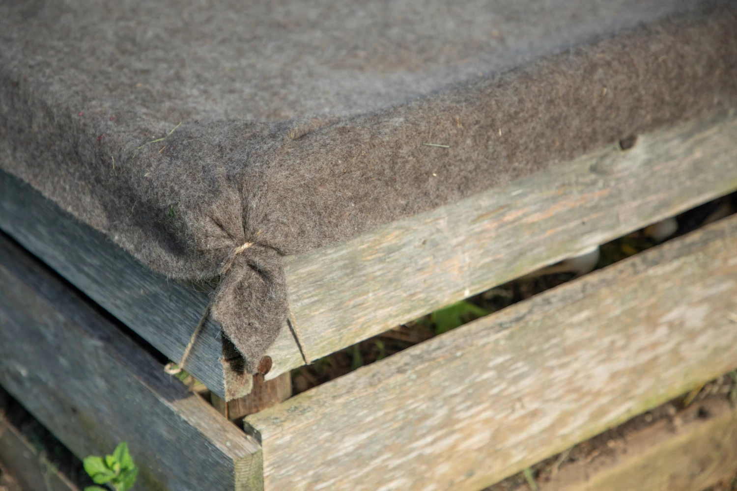 Telo Per Compost 2 Telo Per Compost - immagine 2