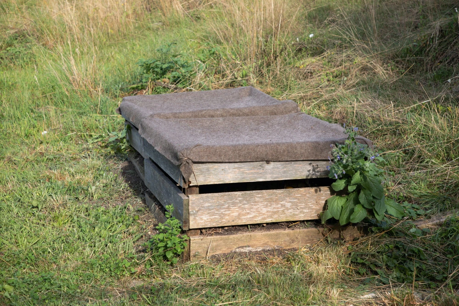 Telo Per Compost 1 Telo Per Compost