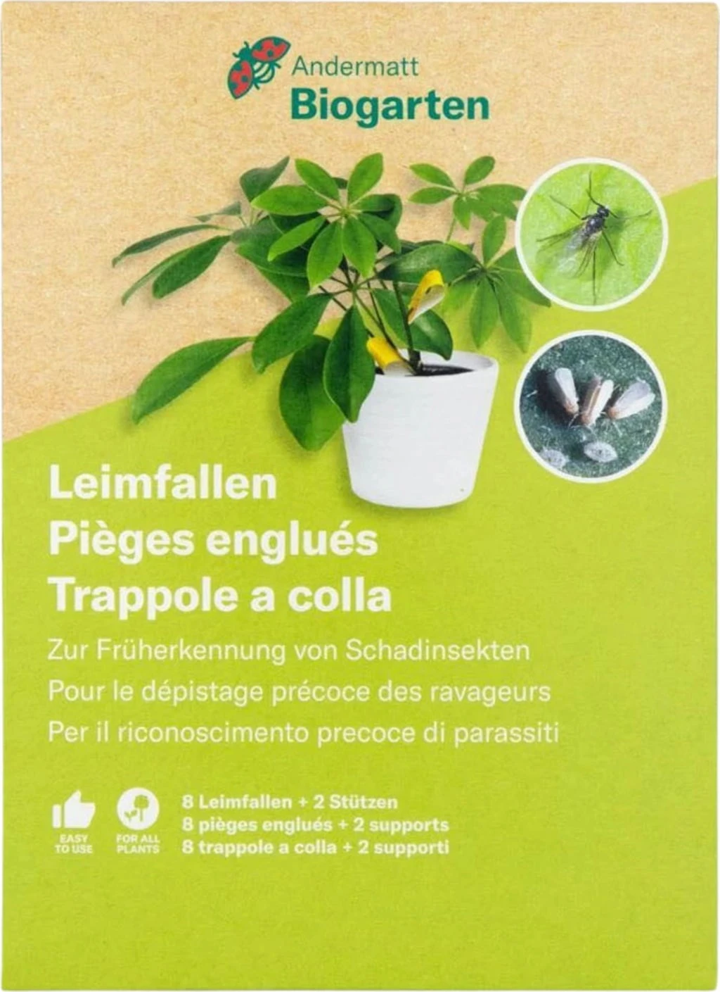 Trappole Adesive Gialle 1 Trappole Adesive Gialle