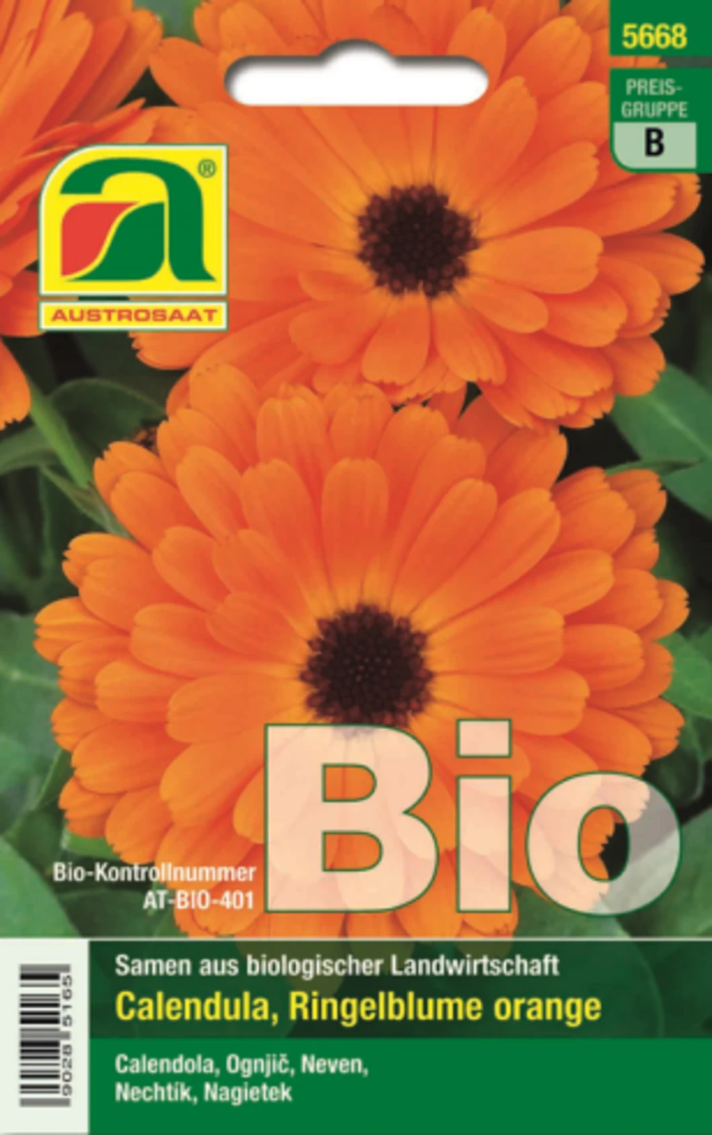 Calendula Arancione Bio 2 Calendula Arancione Bio - immagine 2