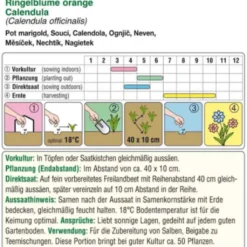 Calendula Arancione Bio