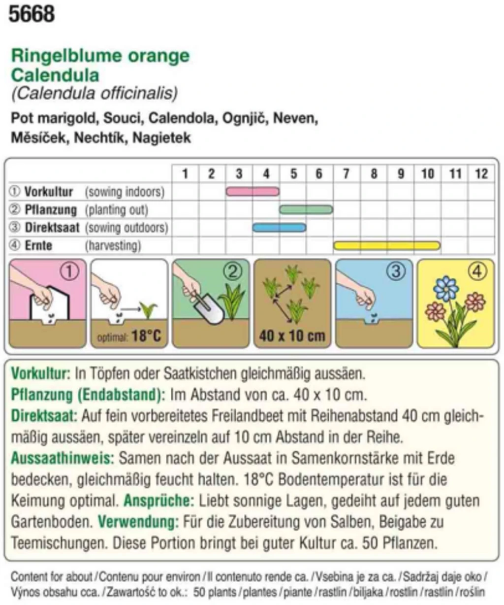 Calendula Arancione Bio 1 Calendula Arancione Bio