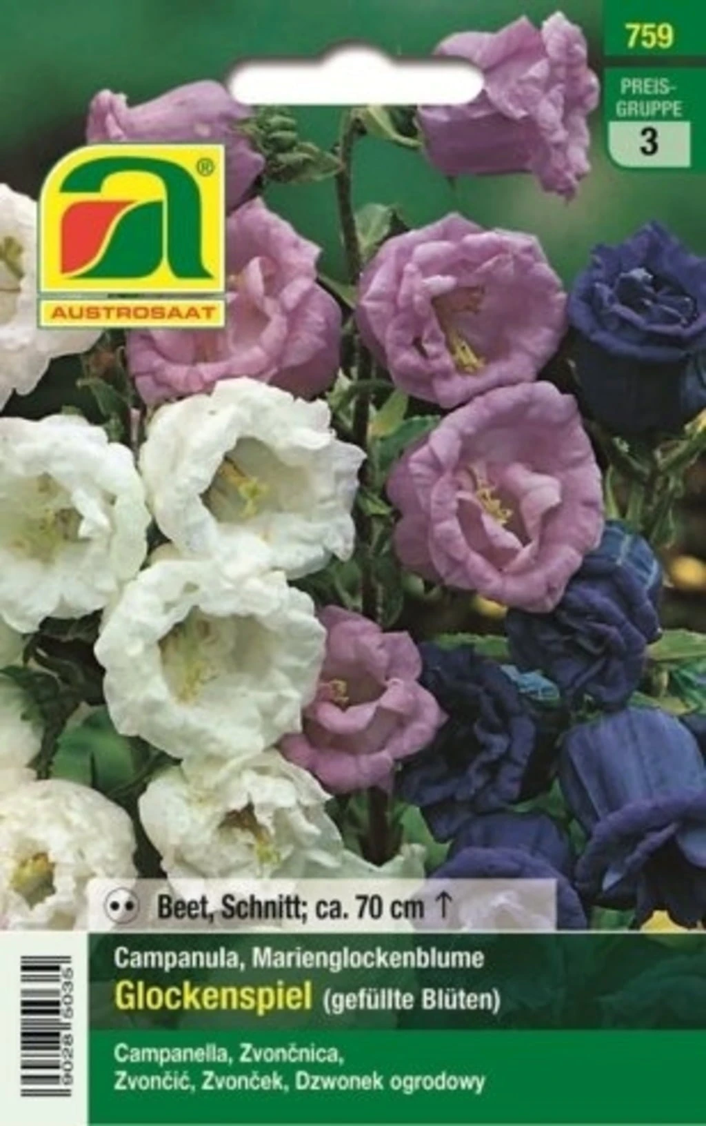 Campanella "Glockenspiel" 1 Campanella "Glockenspiel"