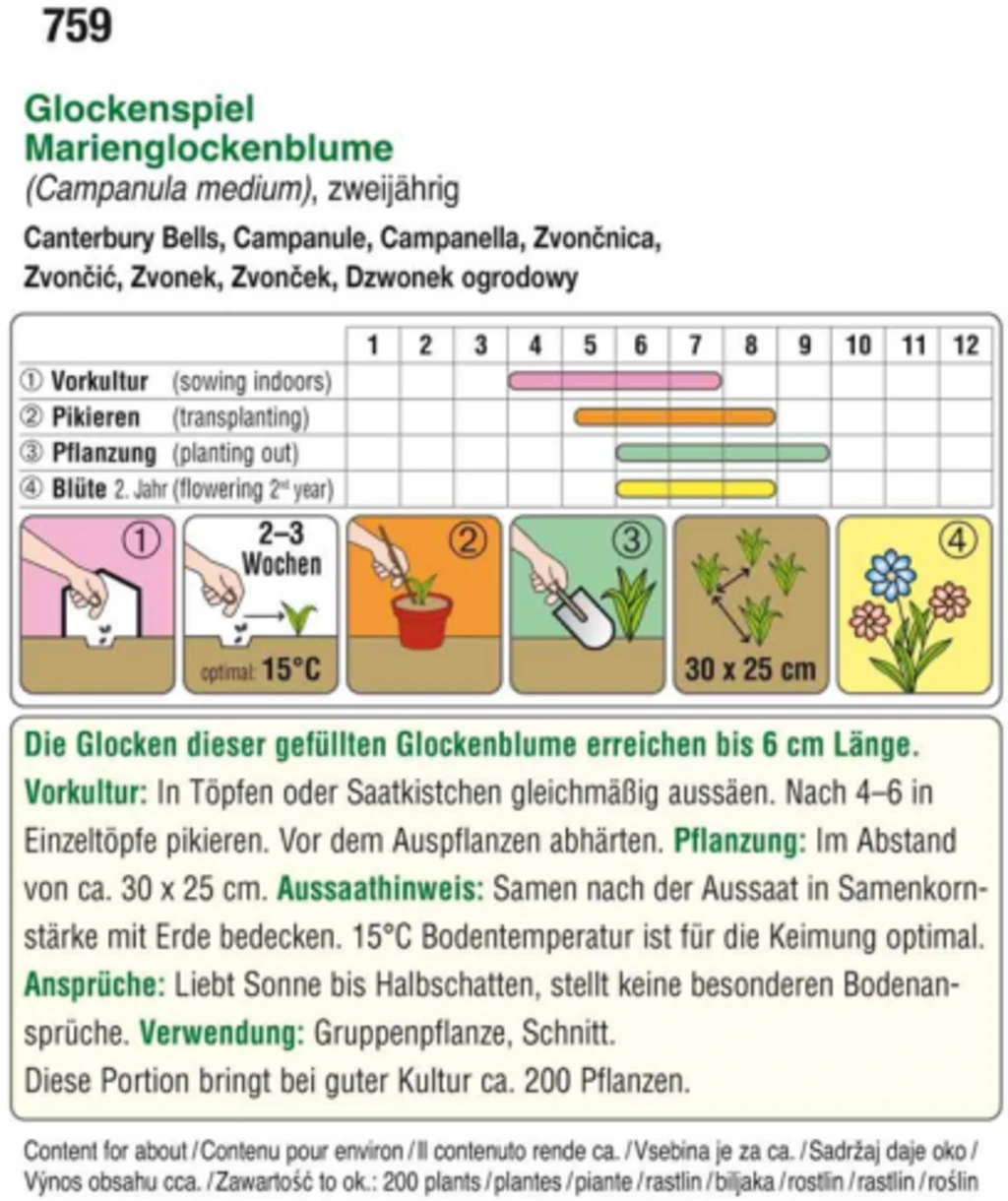 Campanella "Glockenspiel" 2 Campanella "Glockenspiel" - immagine 2