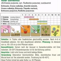 Echinacea - Roter Sonnenhut