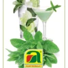 GOURMET EDITION - Menta Piperita Per Cocktail