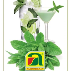 GOURMET EDITION - Menta Piperita Per Cocktail