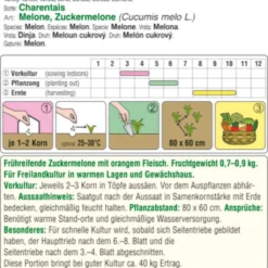 Offerta Economica Verdi Giard 6 Melone Bio - Charentais