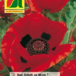 Papavero D'Oriente "Fire"