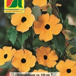 Nuovi Prodotti -Offerta Economica Verdi Giard austrosaat susanna dagli occhi neri 1 paket 1655650 it