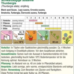 Susanna Dagli Occhi Neri