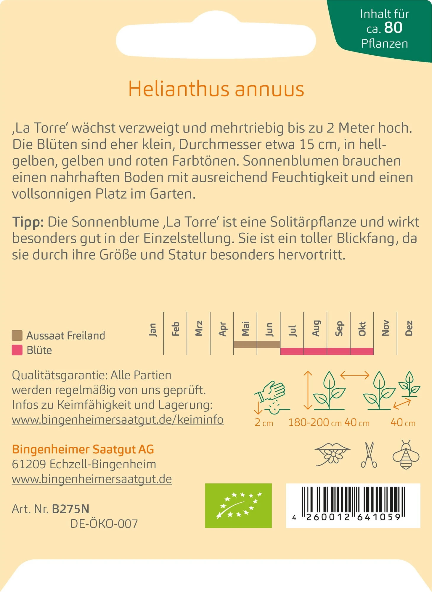 Girasole Multifiore 1 Girasole Multifiore