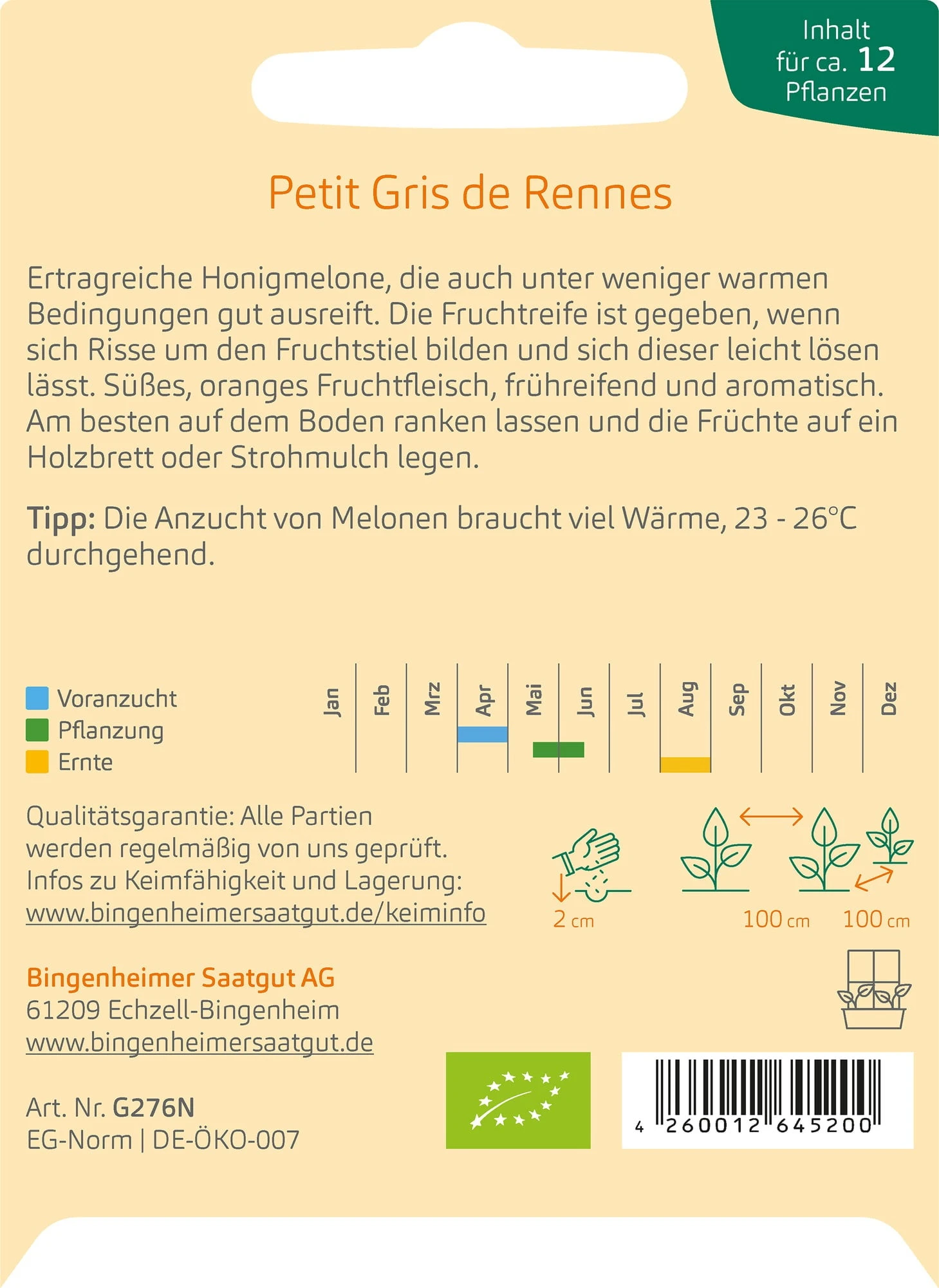 Melone "Petit Gris De Rennes" 2 Melone "Petit Gris De Rennes" - immagine 2