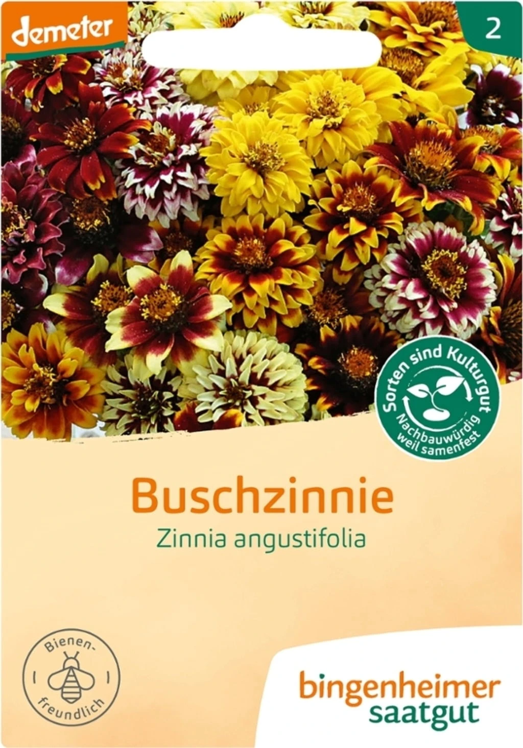 Zinnia 2 Zinnia - immagine 2