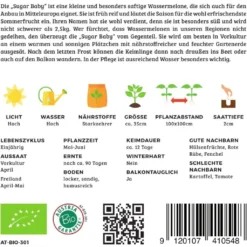 Anguria Bio - Sugar Baby