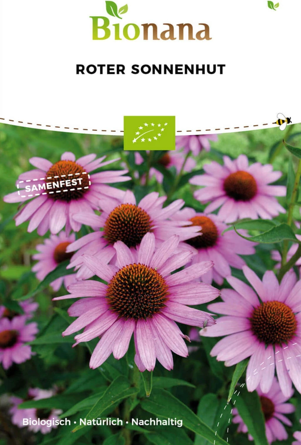 Echinacea Purpurea Bio 1 Echinacea Purpurea Bio