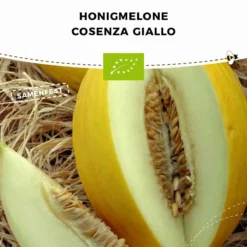 Offerta Economica Verdi Giard -Offerta Economica Verdi Giard bionana melone bio cosenza giallo 1 conf 934146 it