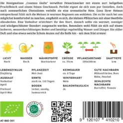 Offerta Economica Verdi Giard 12 Melone Bio - Cosenza Giallo