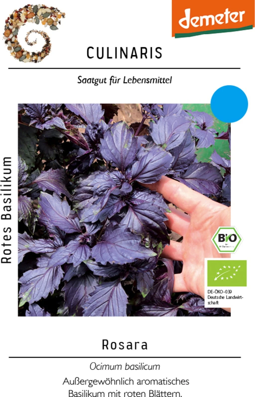 Basilico Rosso Bio - Rosara 2 Basilico Rosso Bio - Rosara - immagine 2