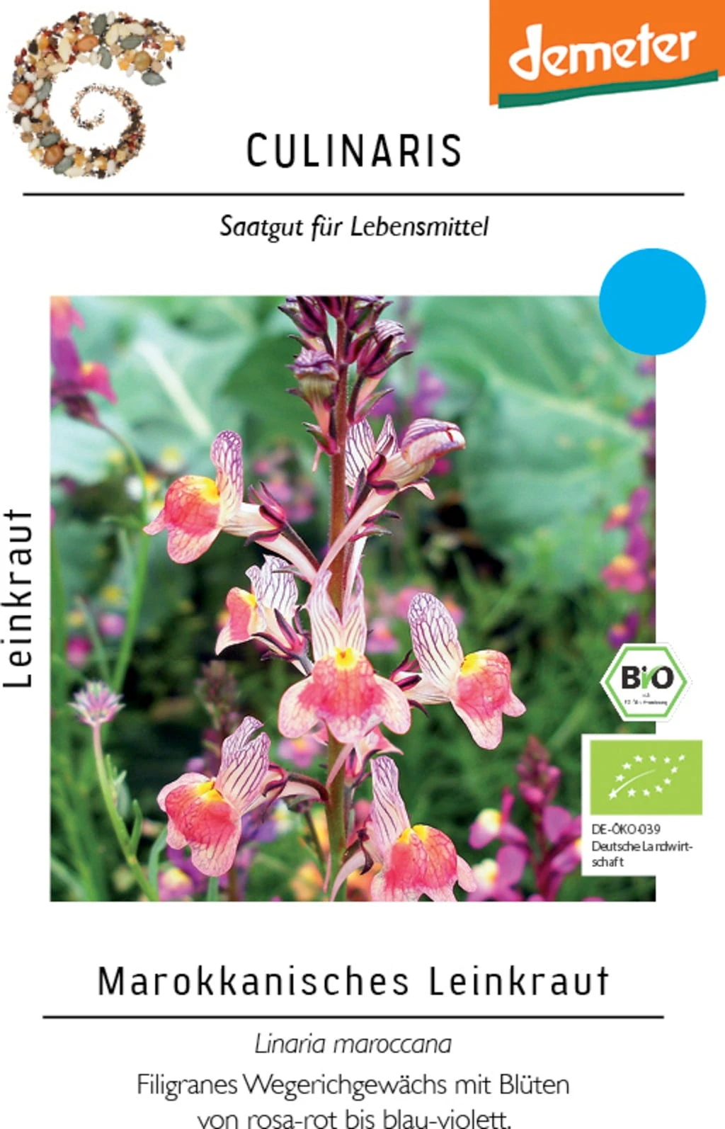 Linaria Maroccana Bio 2 Linaria Maroccana Bio - immagine 2