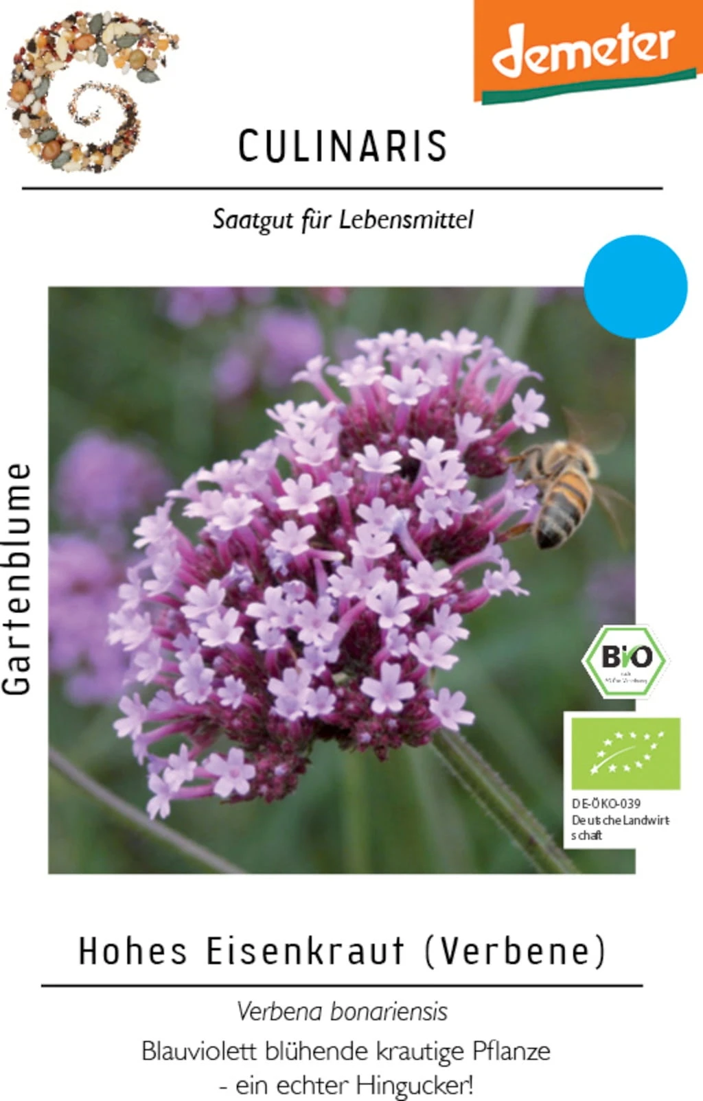 Verbena Bonariensis Bio 2 Verbena Bonariensis Bio - immagine 2