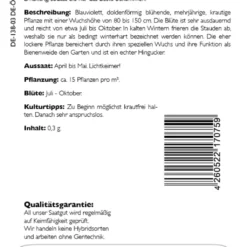 Verbena Bonariensis Bio