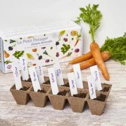 Set Di Coltivazione Verdure Bio - Sapori Invernali