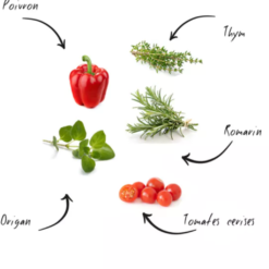 Mini-Kit- Ready To Grow Bio BBQ