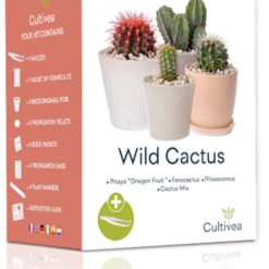 Mini Kit- Wild Cactus