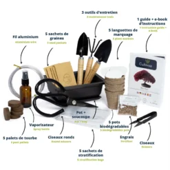 Set Di Coltivazione Per Bonsai - Ready To Grow -Offerta Economica Verdi Giard cultivea set di coltivazione per bonsai ready to grow 1377470 it