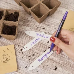 Set Di Coltivazione Verdure Bio - Sapori Di Sole -Offerta Economica Verdi Giard cultivea set per la semina 1381121 it