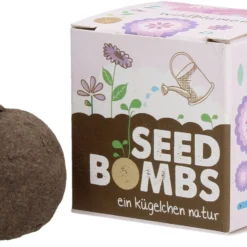 Nuovi Prodotti -Offerta Economica Verdi Giard die stadtgaertner bomba di semi fiori di campo 619941 it