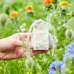 Nuovi Prodotti -Offerta Economica Verdi Giard die stadtgaertner bombe di semi api felici 1 paket 1671653 it