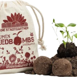 Bombe Di Semi - Api In Festa, 8 Pz. 5 Bombe Di Semi - Api In Festa, 8 Pz. -Offerta Economica Verdi Giard die stadtgaertner bombe di semi api in festa 8 st 1663303 it