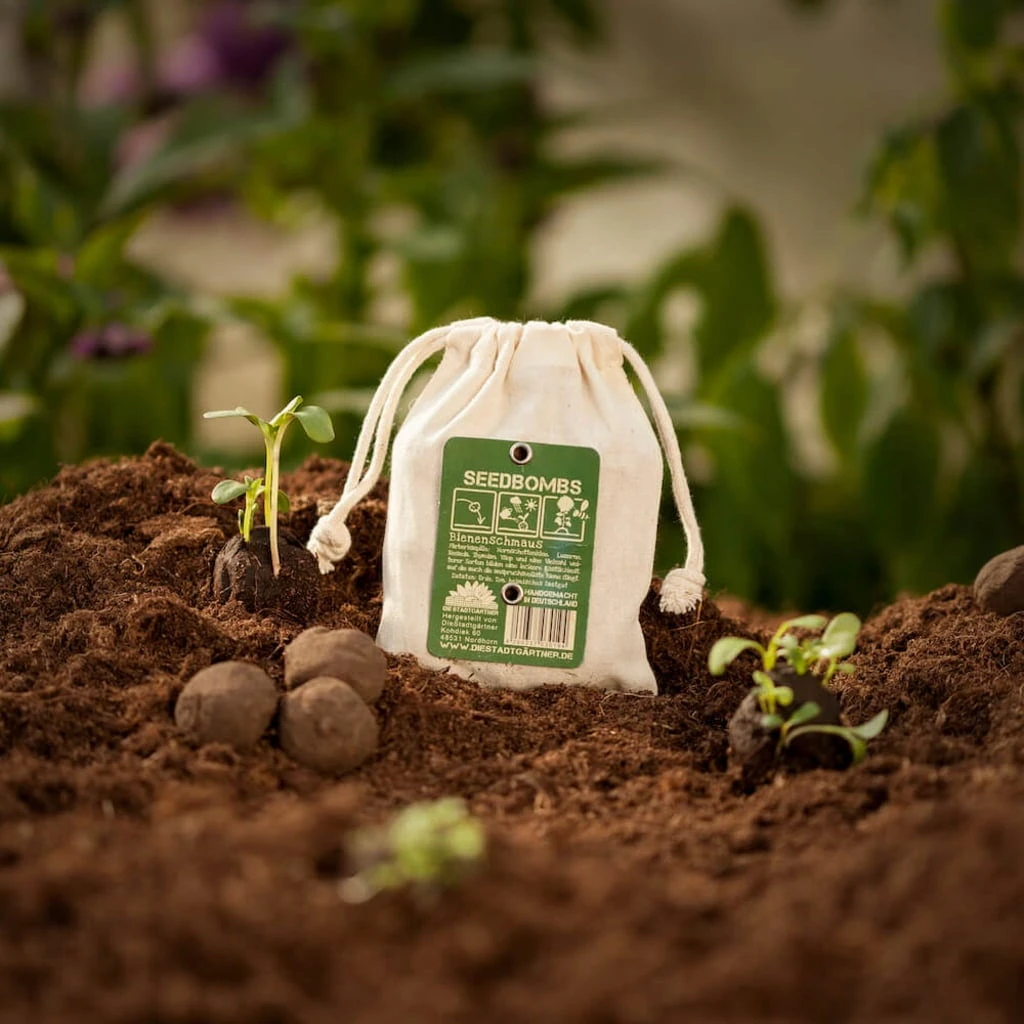 Bombe Di Semi - Api In Festa, 8 Pz. 2 Bombe Di Semi - Api In Festa, 8 Pz. - immagine 2