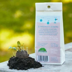 Bombe Di Semi - Figli Dei Fiori