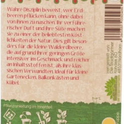 Offerta Economica Verdi Giard -Offerta Economica Verdi Giard die stadtgaertner fragola di bosco tubby red 1 paket 1654184 it