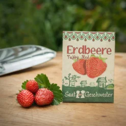 Fragola Di Bosco "Tubby Red" 8 Fragola Di Bosco "Tubby Red" -Offerta Economica Verdi Giard die stadtgaertner fragola di bosco tubby red 1 paket 1666369 it