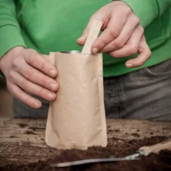 Mini Giardino - Bacche Di Goji Shanghai -Offerta Economica Verdi Giard die stadtgaertner mini giardino bacche di goji shanghai 1 set 1670440 it