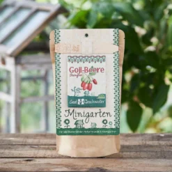 Mini Giardino - Bacche Di Goji Shanghai -Offerta Economica Verdi Giard die stadtgaertner mini giardino bacche di goji shanghai 1 set 1670442 it