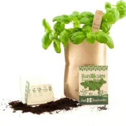 Mini Giardino - Basilico Genoveser Emily -Offerta Economica Verdi Giard die stadtgaertner mini giardino basilico genoveser emily 1 set 1666483 it