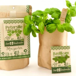 Mini Giardino - Basilico Genoveser Emily