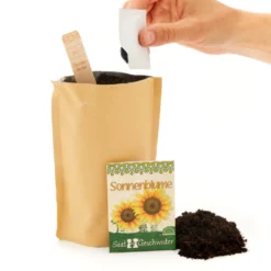 Mini Giardino - Girasole -Offerta Economica Verdi Giard die stadtgaertner mini giardino girasole 1 paket 1660805 it