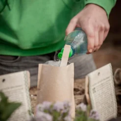 Mini Giardino - Girasole