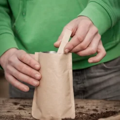 Mini Giardino - Girasole -Offerta Economica Verdi Giard die stadtgaertner mini giardino girasole 1 paket 1677678 it