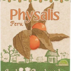 Physalis "Perù" -Offerta Economica Verdi Giard die stadtgaertner physalis peru 1 paket 1654194 it
